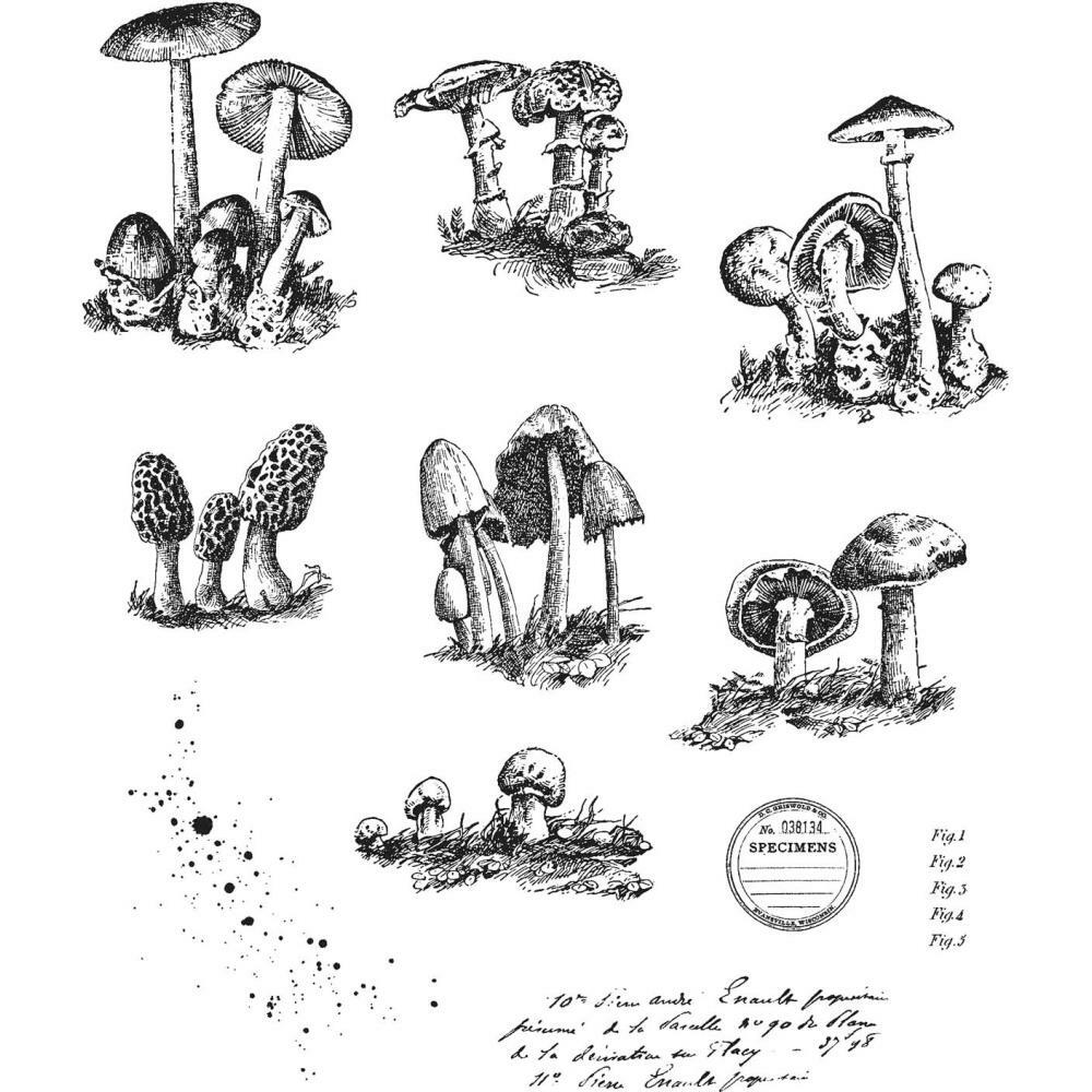 NEW Tim Holtz Stampers Anonymous "TINY TOADSTOOLS" Rubber Cling Stamp Set 2019