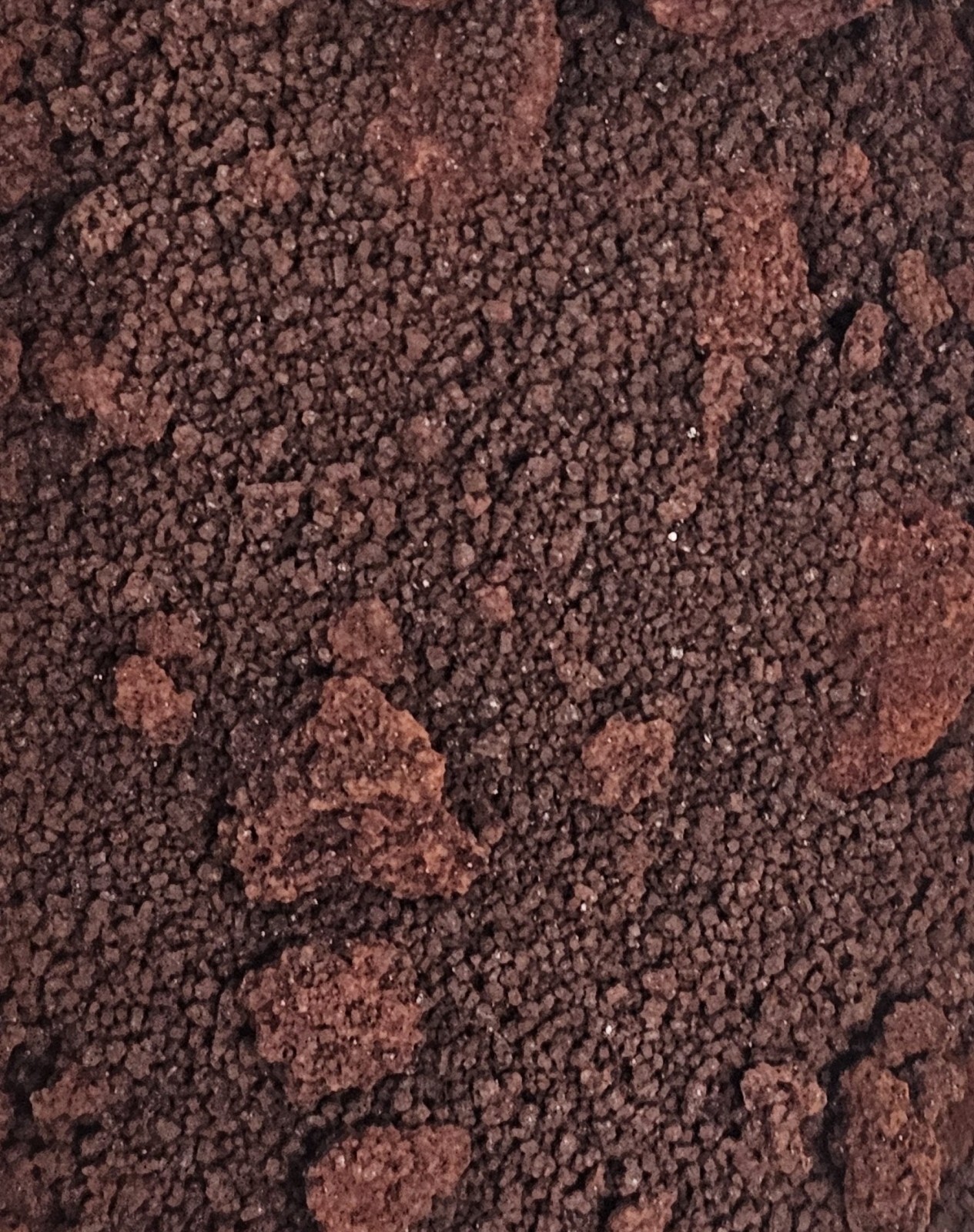 Ferrous Acetylacetonate, 98+%, 25g