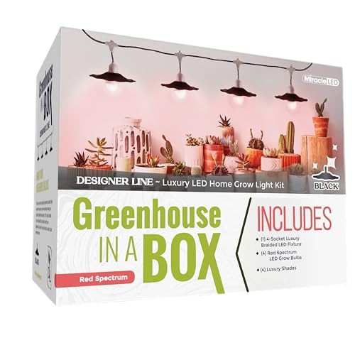 Grow with Elegance 4-Socket & Black Shade (4KK Red Spectrum Edition)