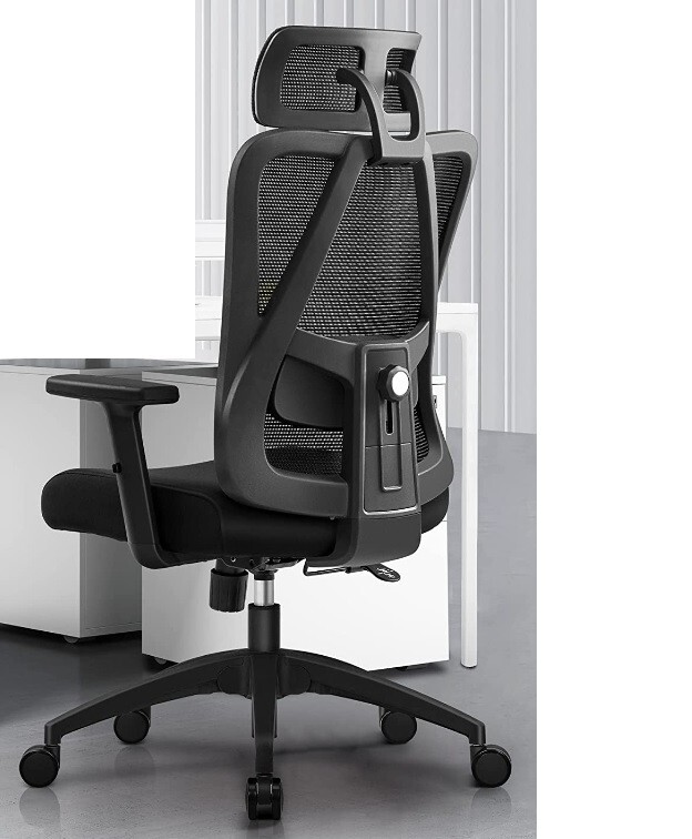 Primy Ergonomic Office Chair,High Back Desk Chair with Adjustable Headrest