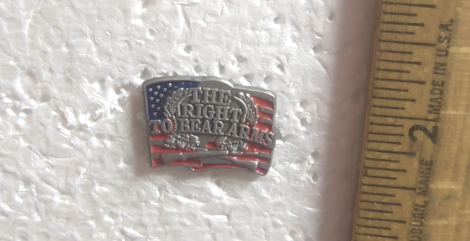 The Right to Bear Arms Pin