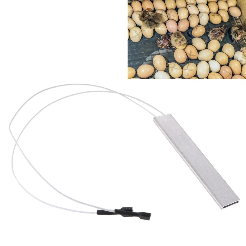 Replaceable Heater Element for Chicken Duck and Incubator Heating