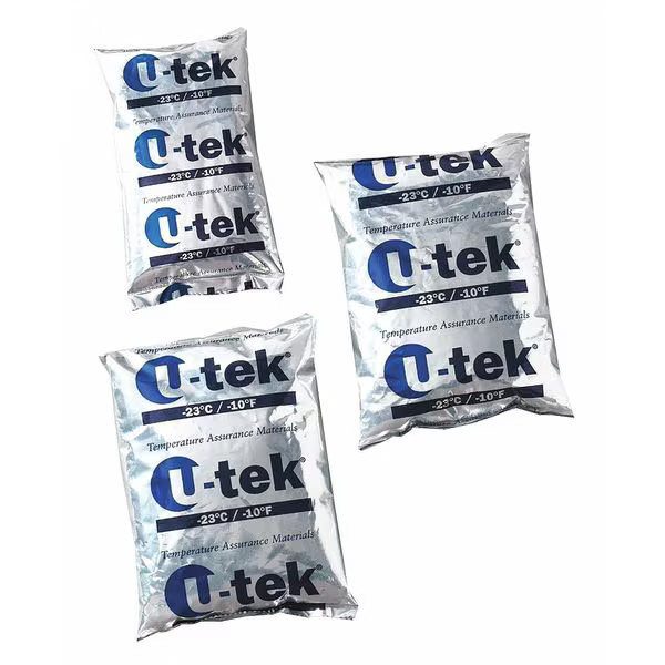 Thermosafe Freezer Pack,10-1/2" L,7-3/4" W,PK6 427 Thermosafe 427 Plastic Silver