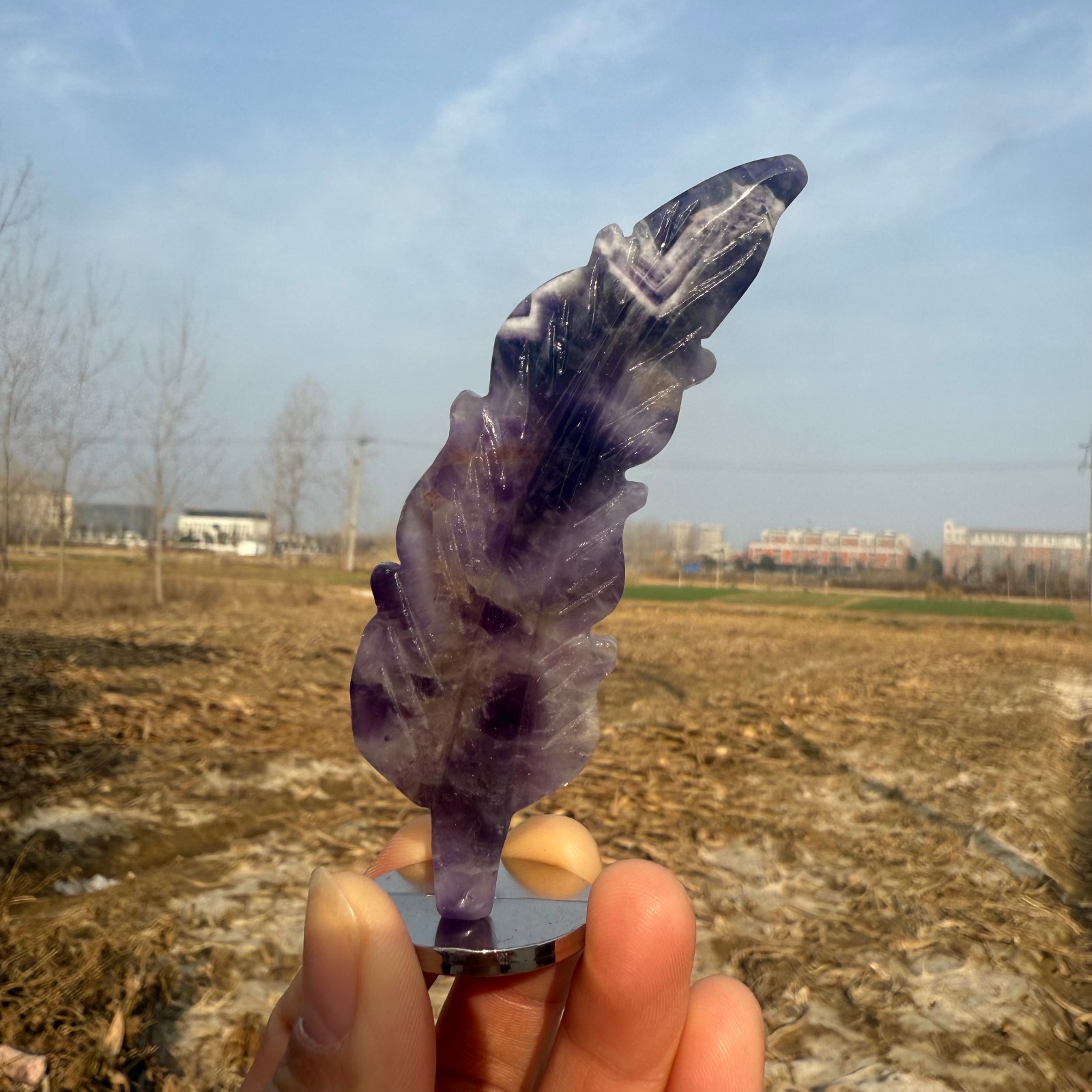 3.6"Natural Dream Amethyst hand carved Feathers Quartz Crystal heal Gift 1pc