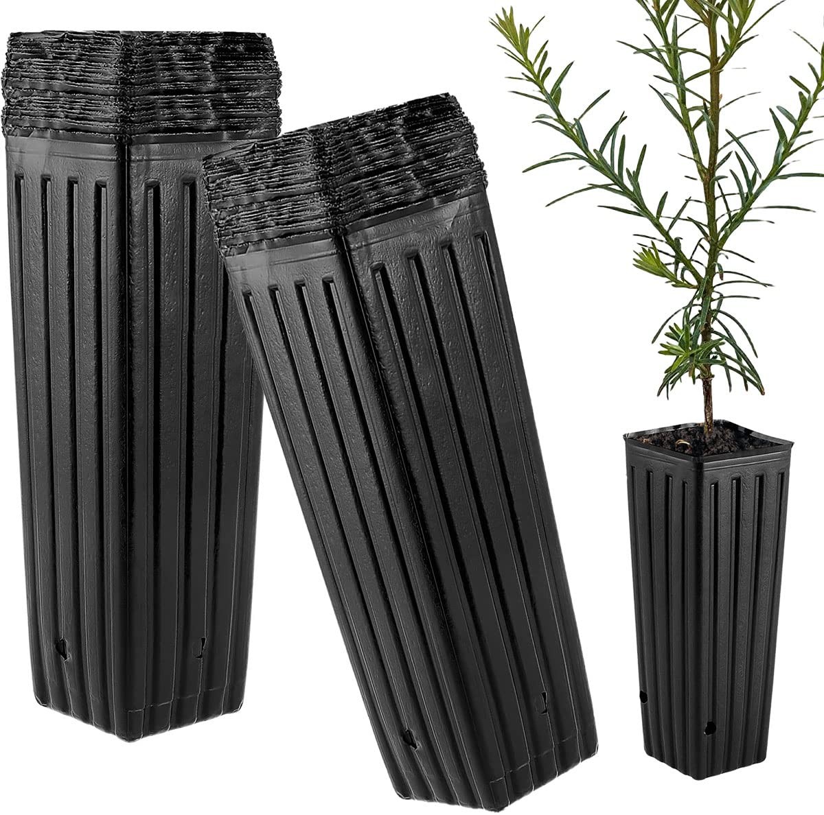 Tall Deep Tree Pot, 50Pcs Plastic Plant Seedling Treepots Tall Flower Plant C...