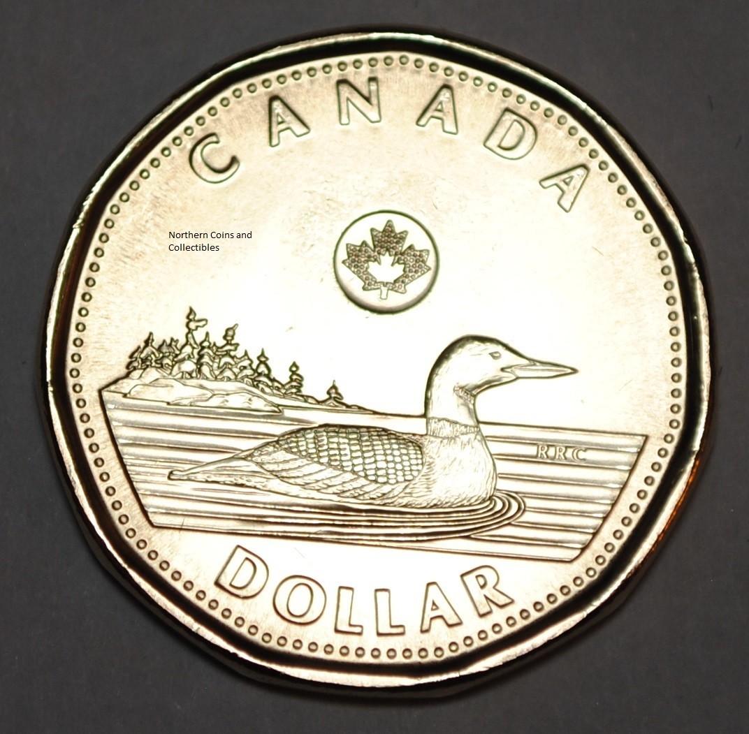Canada 2023 1 Dollar UNC from roll - BU Canadian Loonie - Queen Elizabeth II