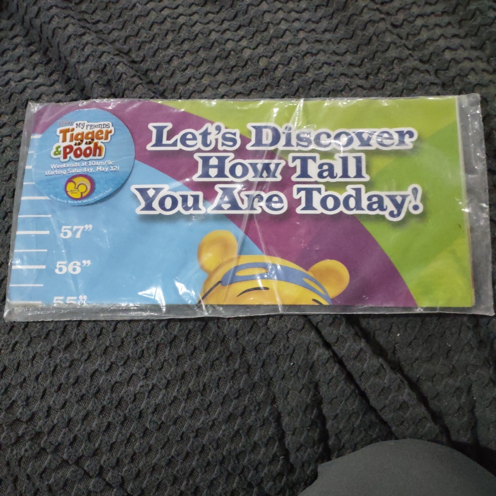 Disney  Tigger And Pooh Poster Let's Discover How Tall You Are Today height