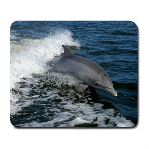 Bottlenose Dolphin Ocean Life Animal Deep Sea Mousepad Souvenir Aquarium 9”x 8”