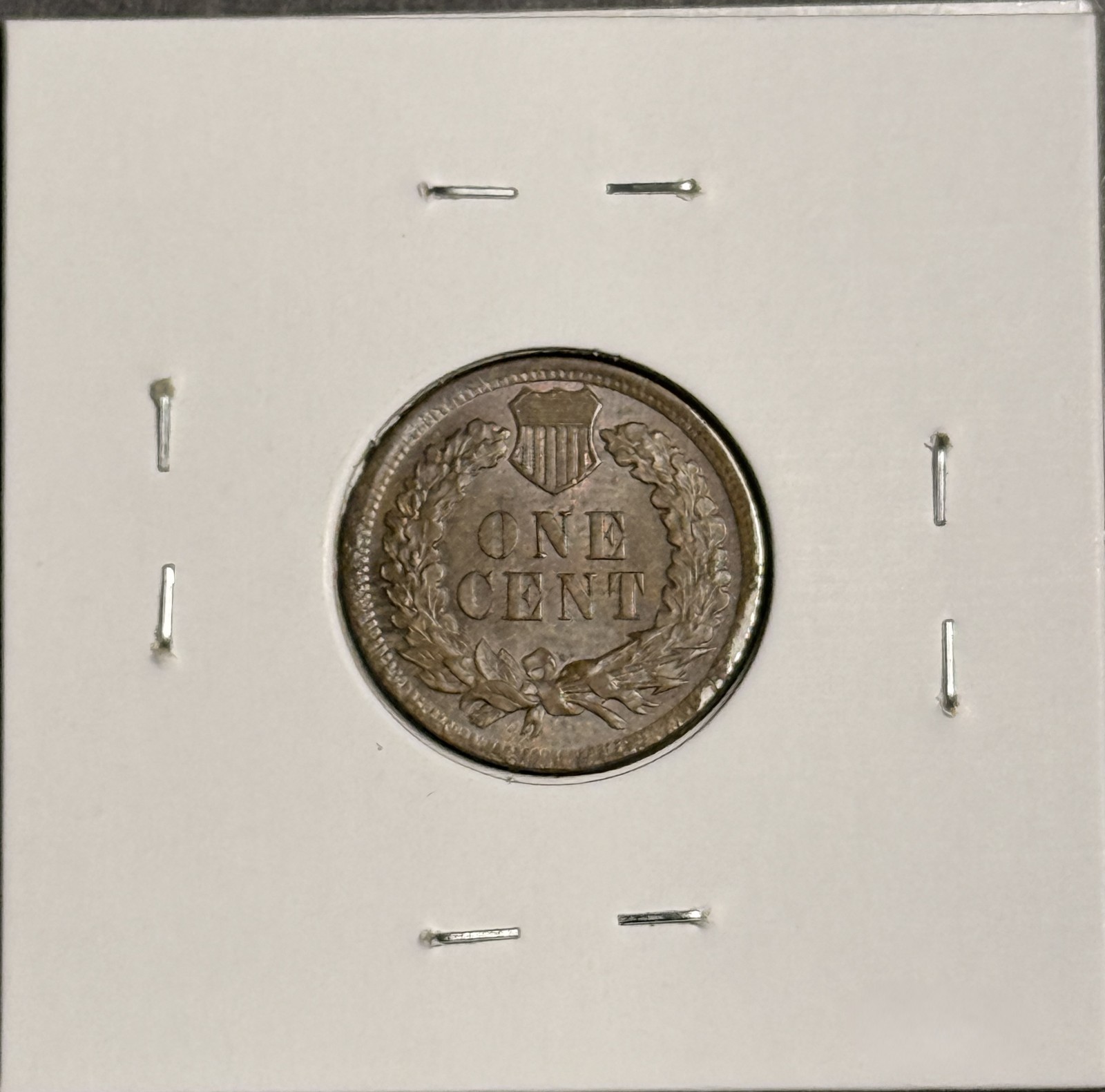 1901 Indian Head Cent, Choice Uncirculated Brown, (19014)