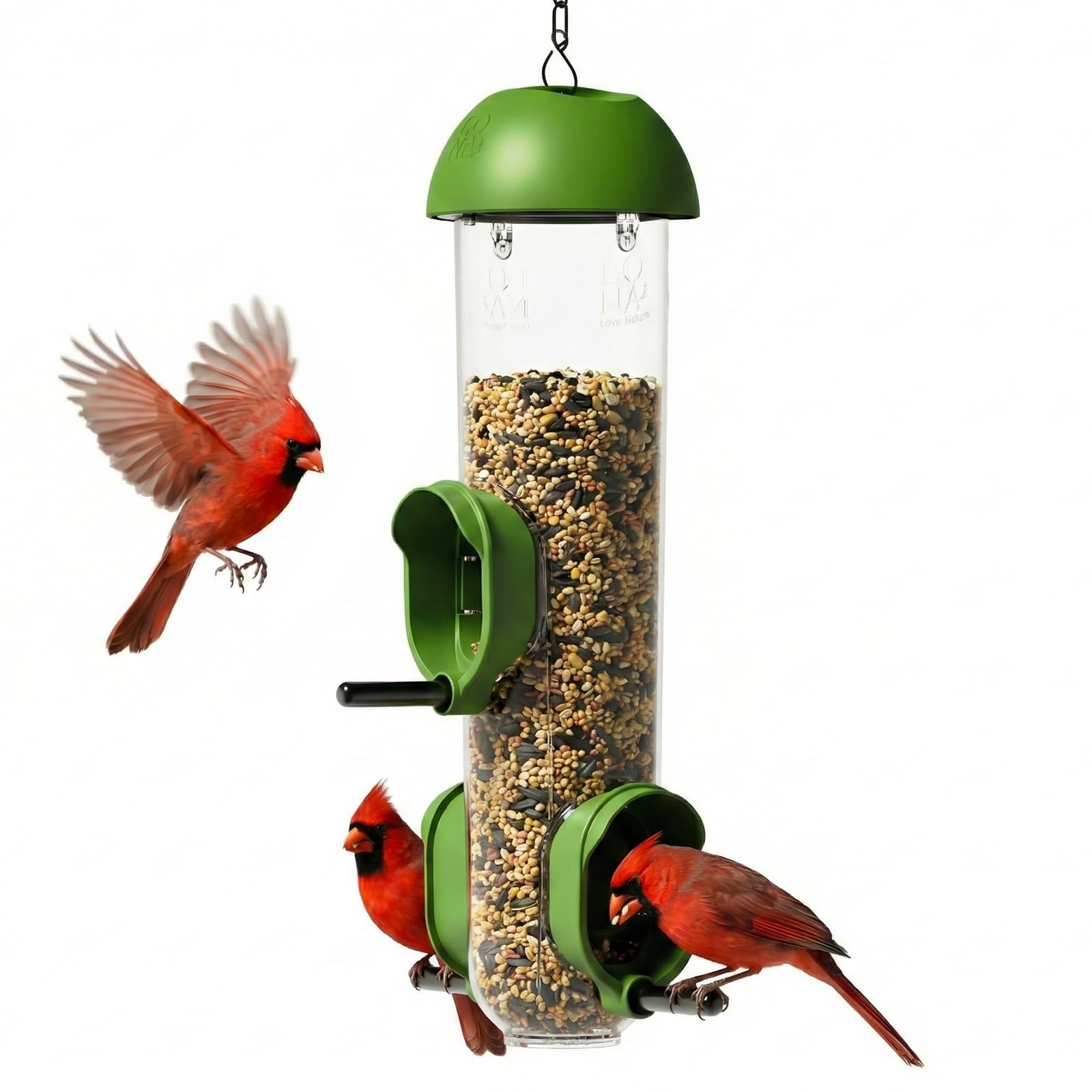LONA Bird Feeders for Outdoors, Tube Feeder 3 Port, Green, Transparent