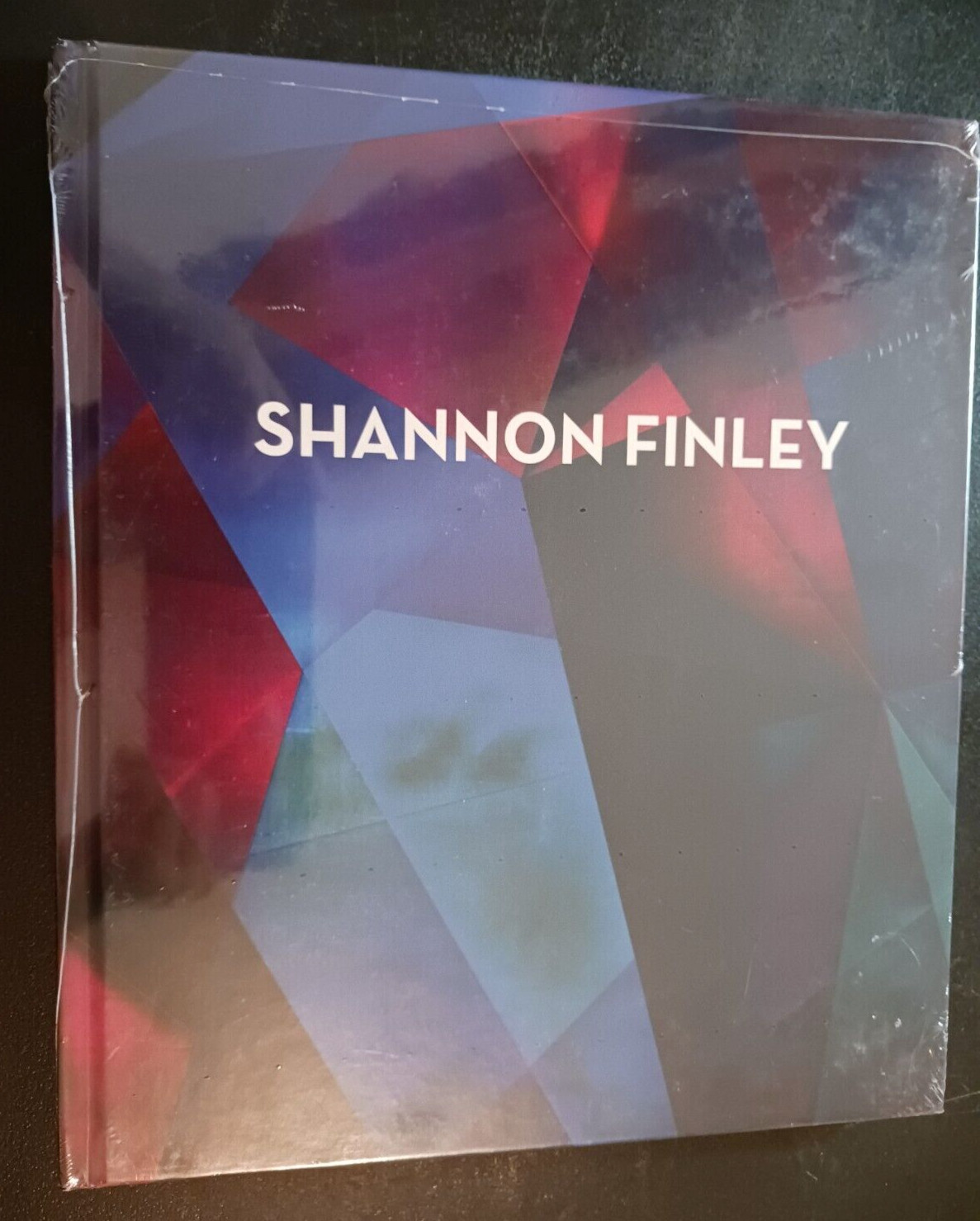 Shannon Finley painting 2023 McEnery HC art exhibition catalogue