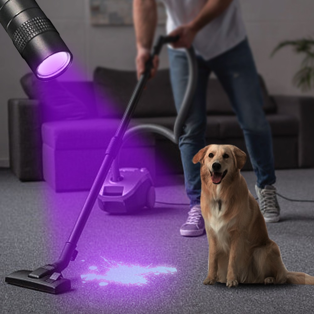 Mini 395nm UV LED Flashlight Light Penlight Black Light Clip Work Light Torch US