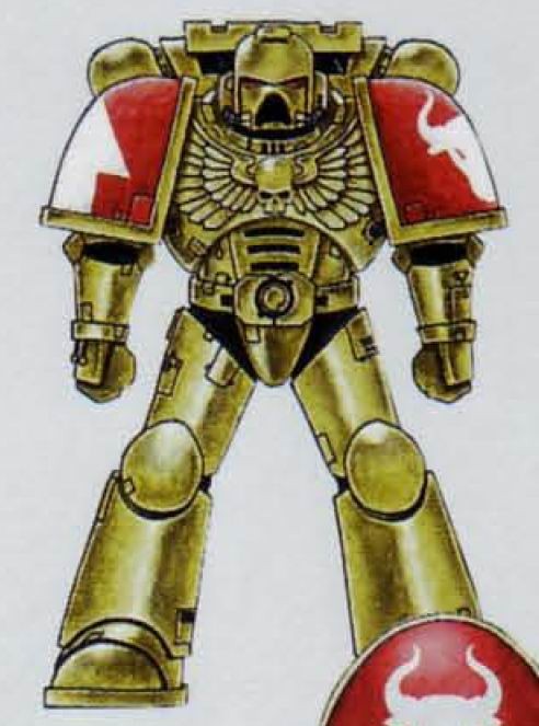 Warhammer 40k White Minotaurs Custom Transfer Sheet A5