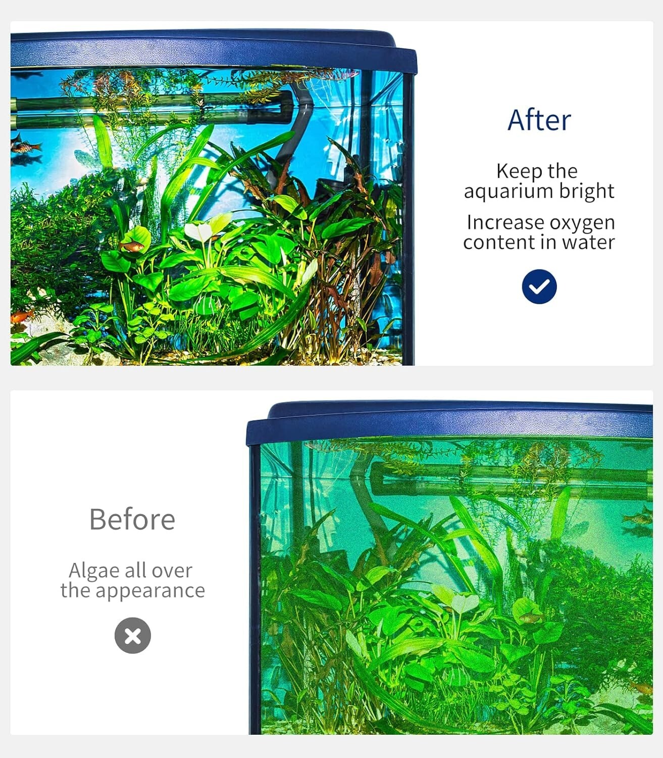 Aquarium Algae Scraper for Glass Aquariums with 5 Replaceable Blades, Fish Tank
