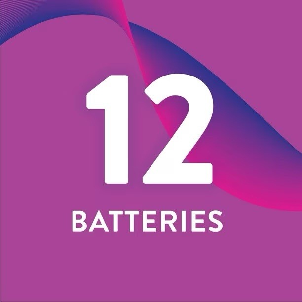 Members Mark Alkaline C Batteries 12 Pack
