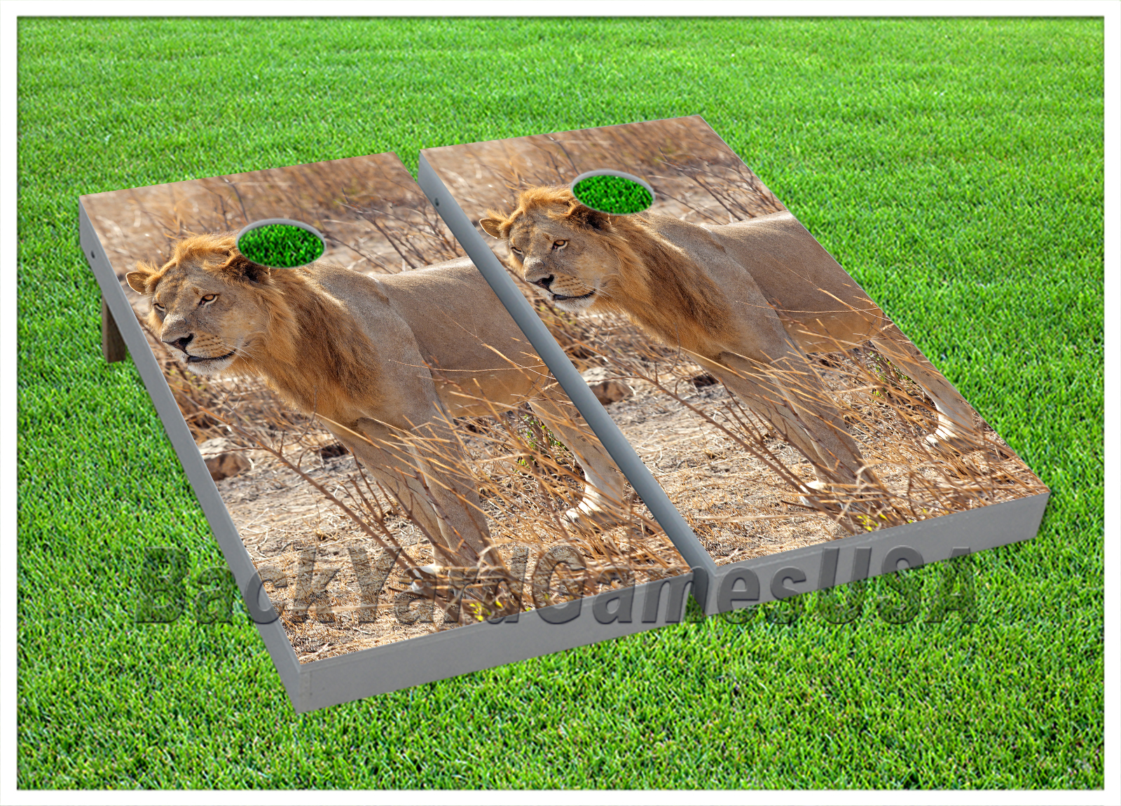 CORNHOLE BEANBAG TOSS GAME Sahara Lion Sienna w Bags Game Boards Set 1066