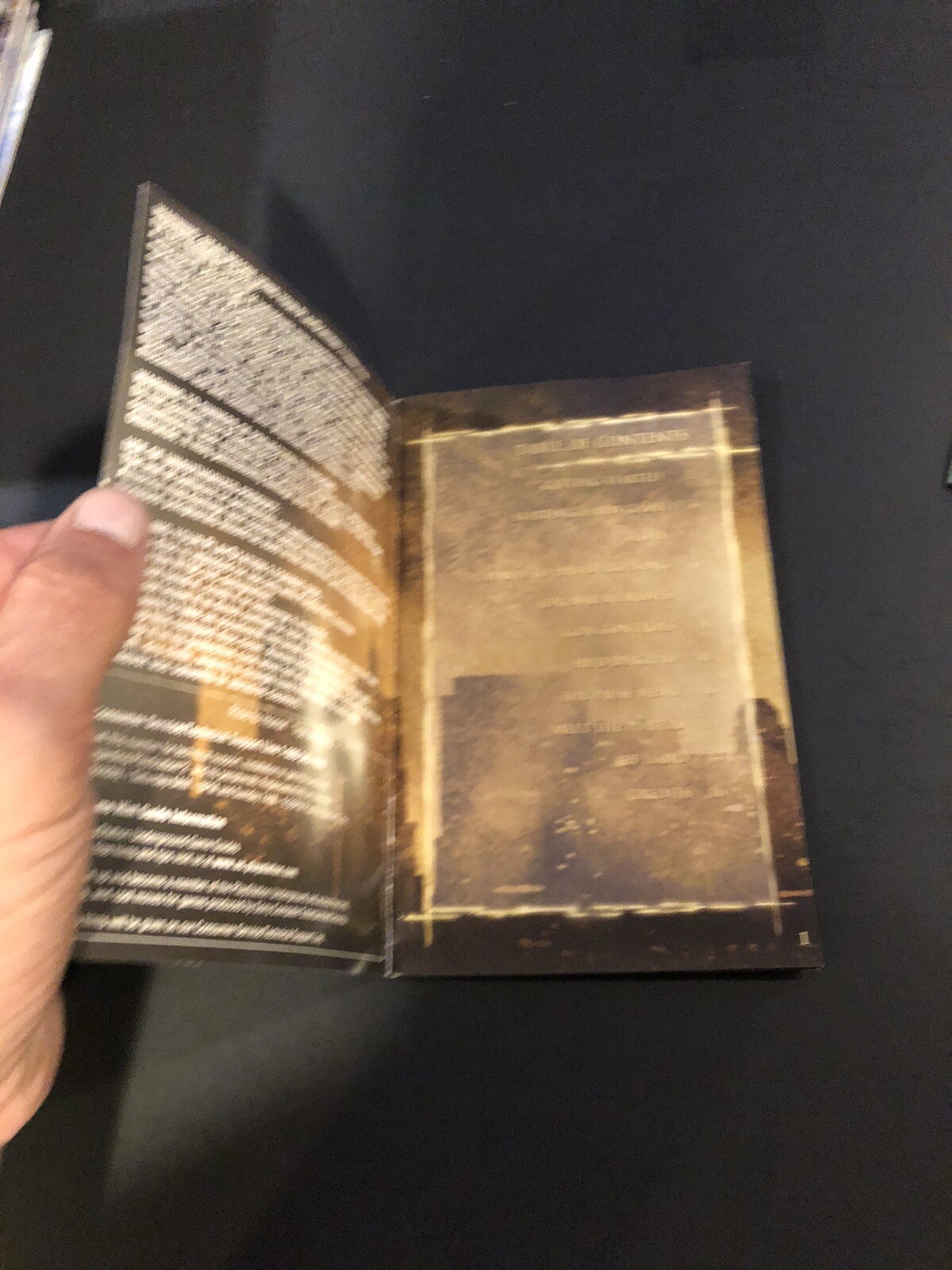 jet li rise to honor ps2 manual Only