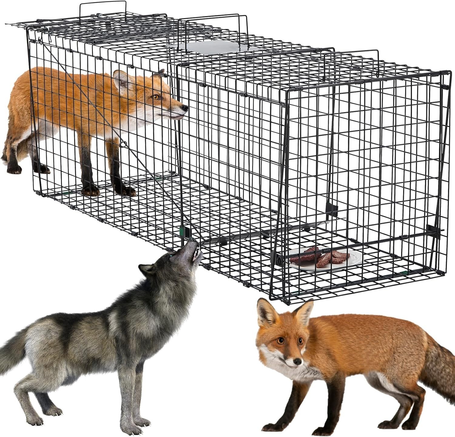 Heavy Duty 59 Inch Humane Live Animal Trap for Coyotes, Stray Dogs, and Other Si