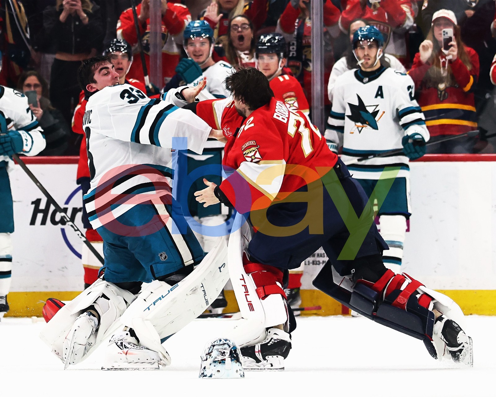 Alex Nedeljkovic & Sergei Bobrovsky Goalie Fight Sharks Panthers 8x10 NHL Photo