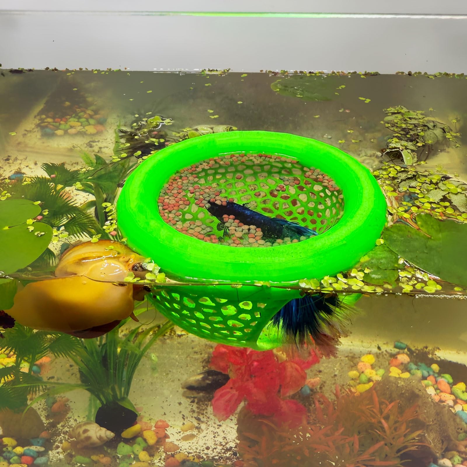 Aquarium Floating Betta Fish Skins, Betta or Shrimp Feeder, Cave and Hammock,...