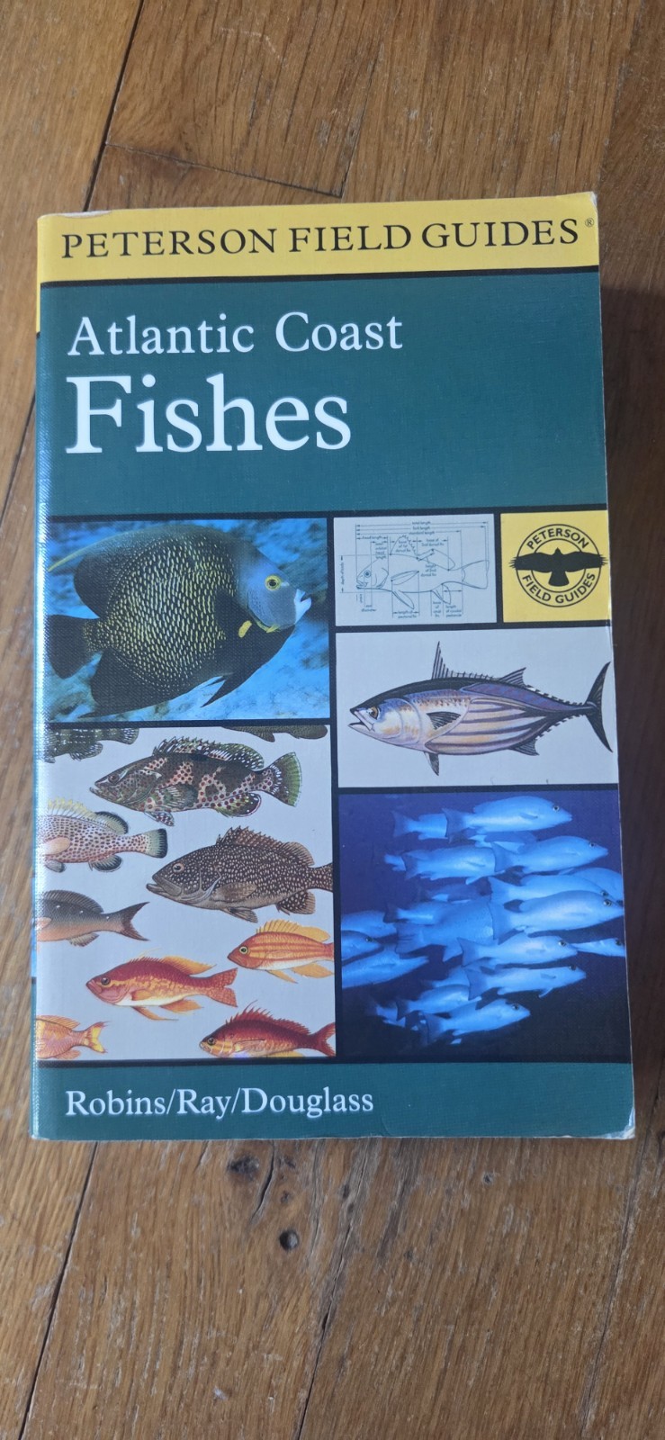 Peterson Field Guides Atlantic Coast Fishes Field Guide by Robins Ray Douglass