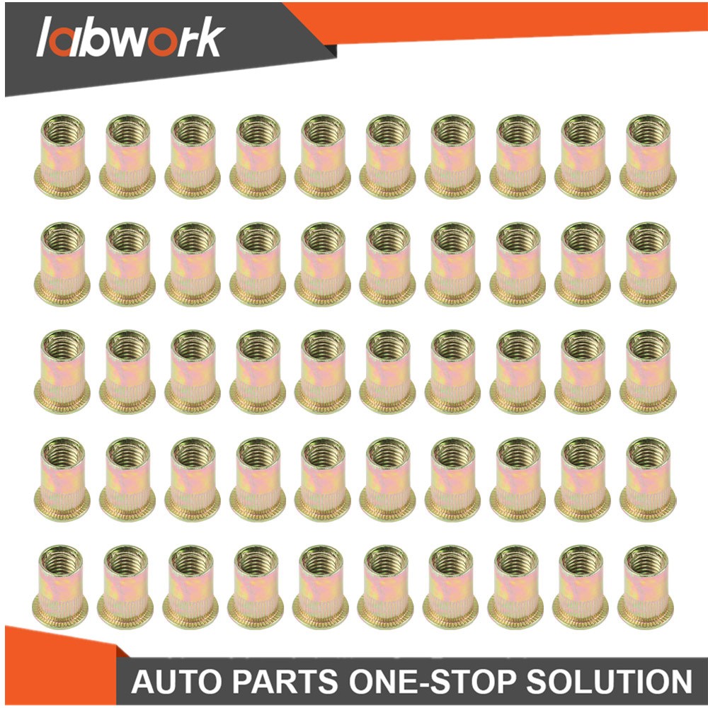 Labwork 50 Pcs M10 Metric Flat Head Rivet Nut Zinc Plated Steel Insert Nutsert
