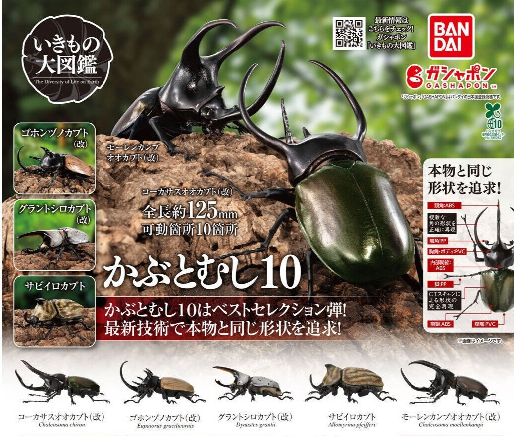The Diversity of Life on Earth Beetle 10 Action Figure Bandai Capsule Toy