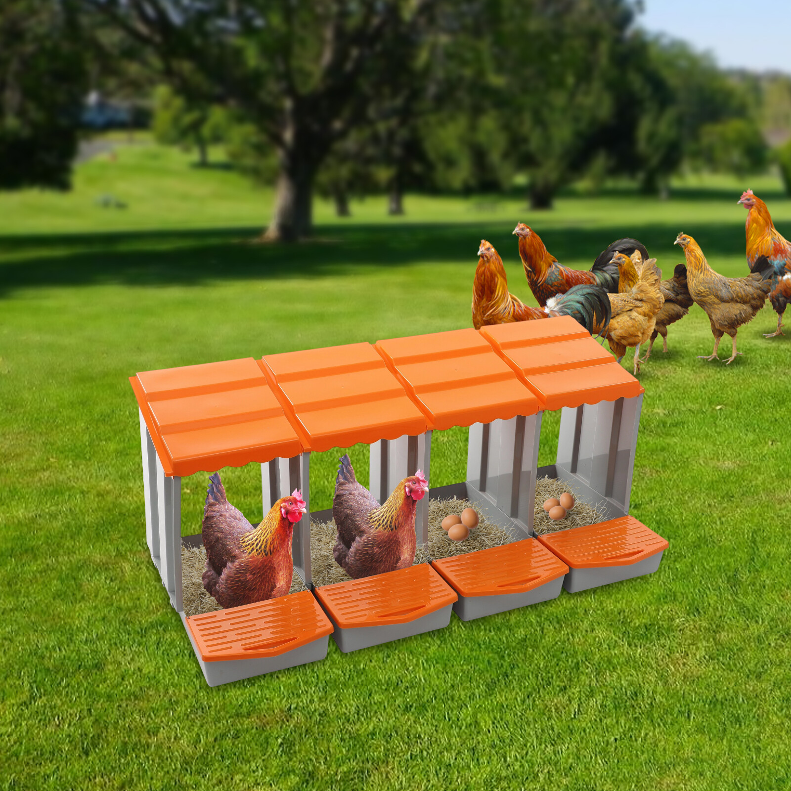 Modern 4-Compartment Chicken Nesting Box Freestanding Orange Chicken Nesting Box