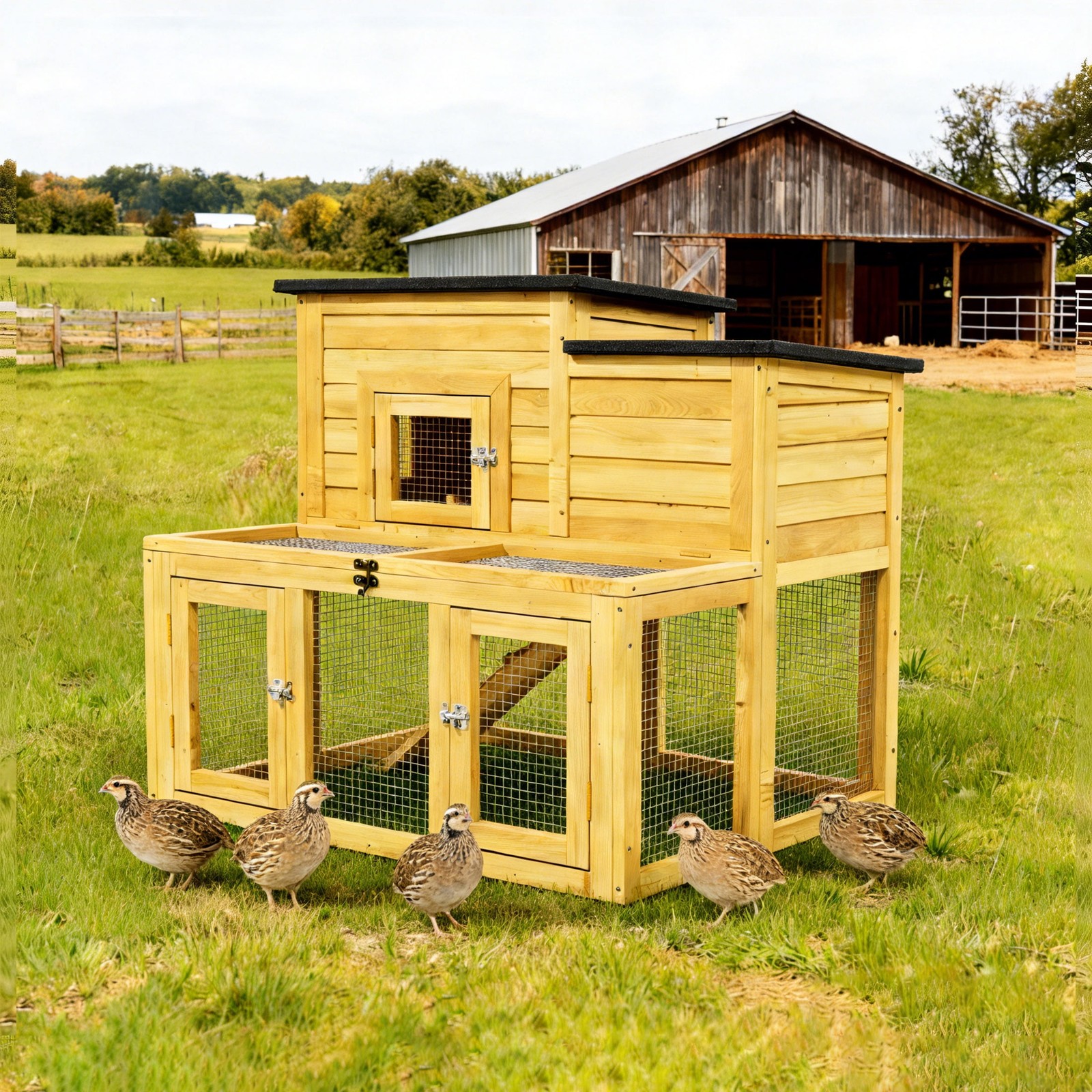 Outdoor Quail Hutch with Brooder Box & Activity Area, Openable Asphalt Roof