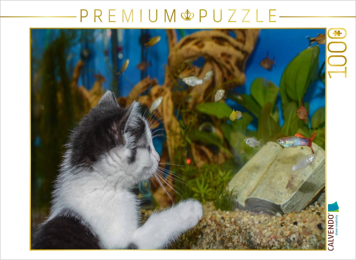 CALVENDO Puzzle Katze Hope und die Fische | 1000 Teile Lege-Größe 64x48cm Foto-P