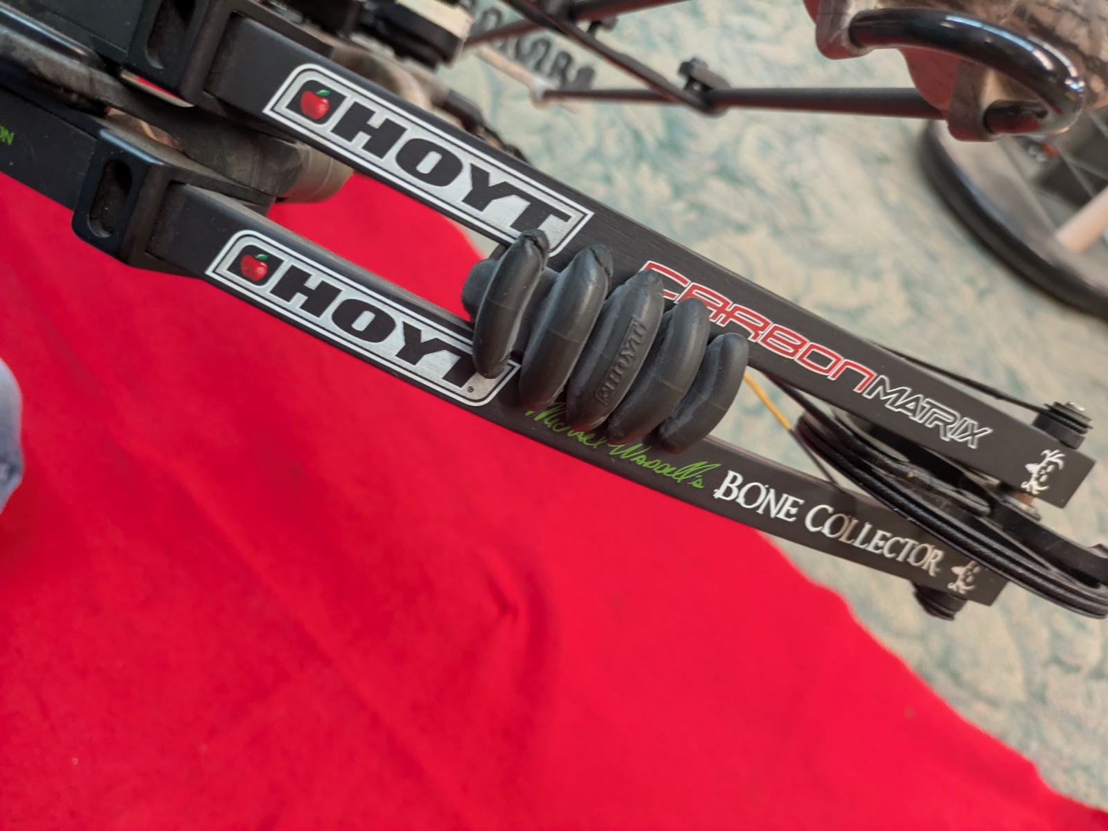 Hoyt Carbon Matrix Compound Bow