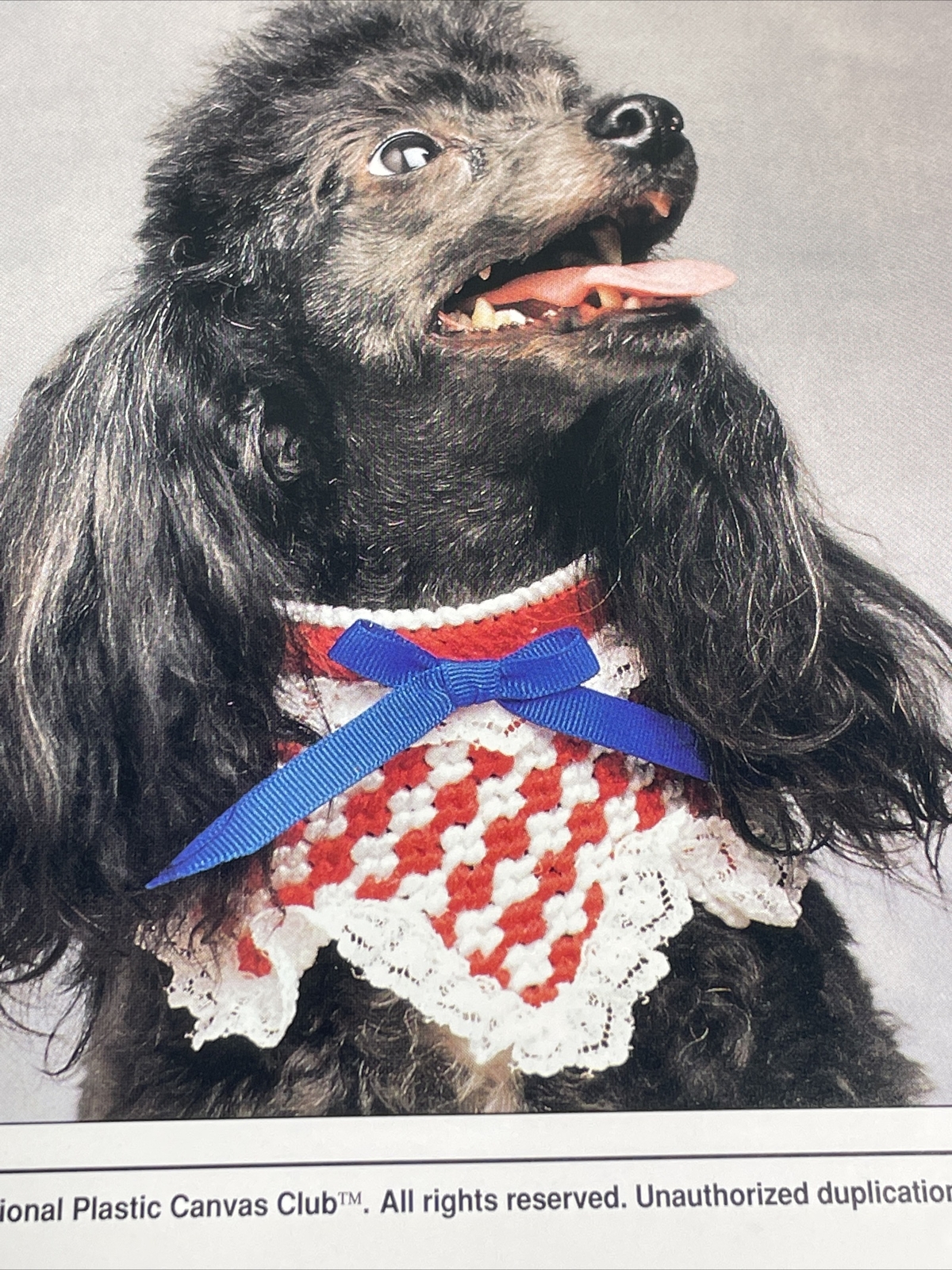Pet Collars Formal & Country Annie's Plastic Canvas Pattern