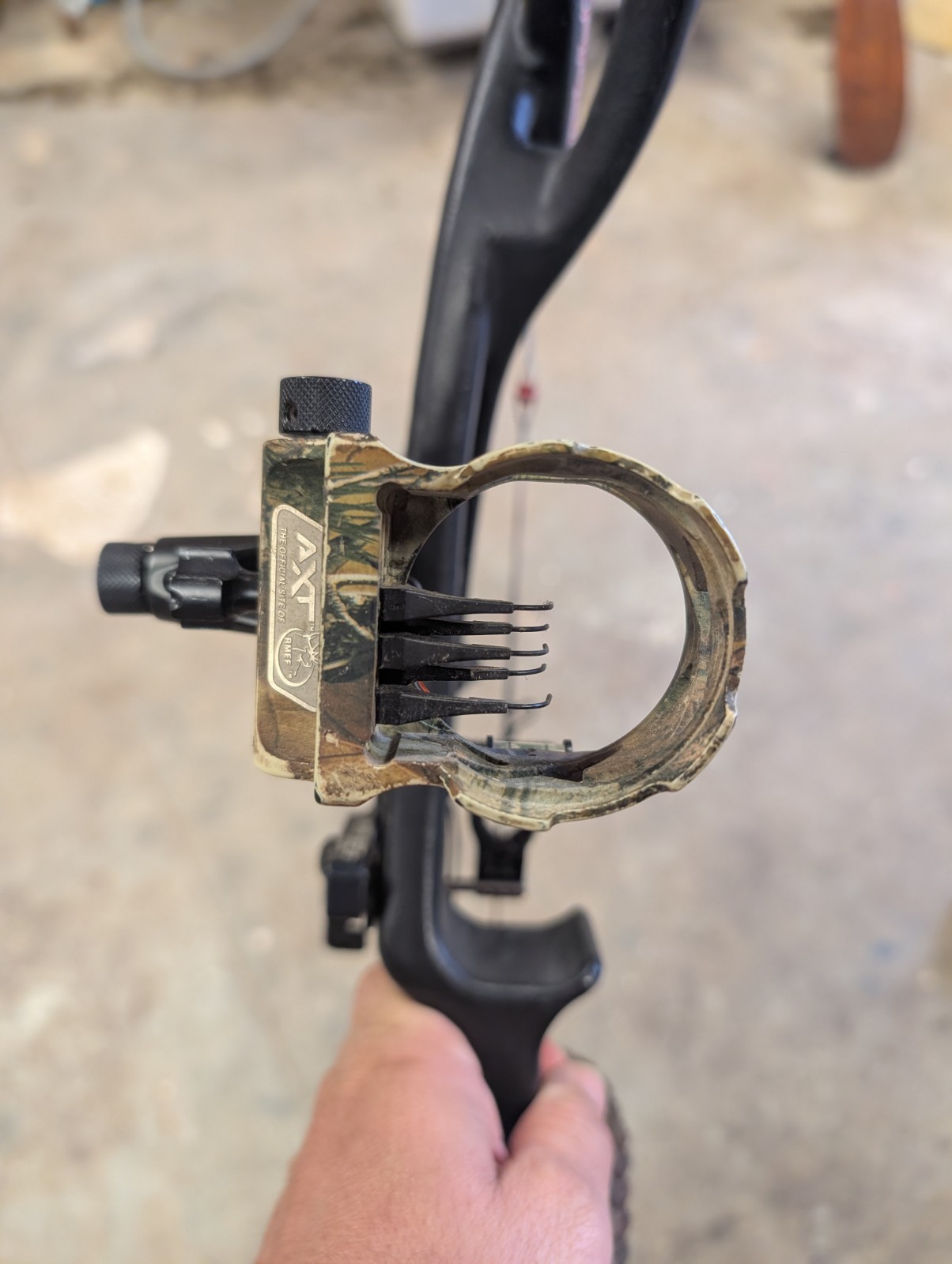 Hoyt Carbon Matrix Compound Bow Loaded