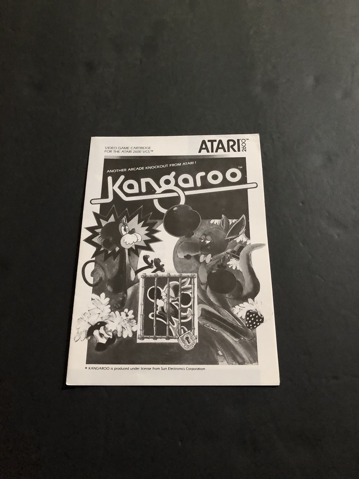 kangaroo atari 2600 manual