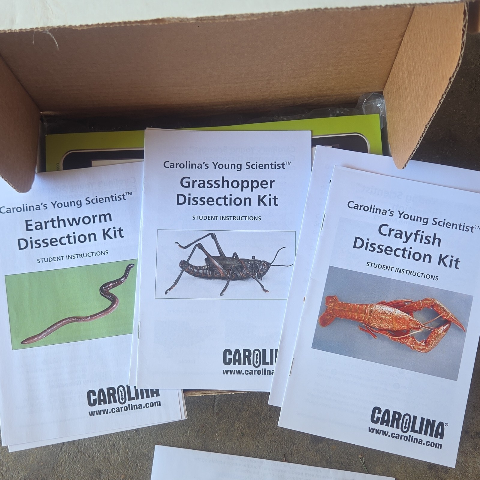 Carolina Young Scientist Dissection Kit Earthworm Grasshopper Crayfish