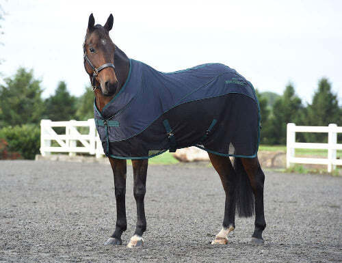 Weatherbeeta Air-Tec Standard Neck Cooler CLOSEOUT