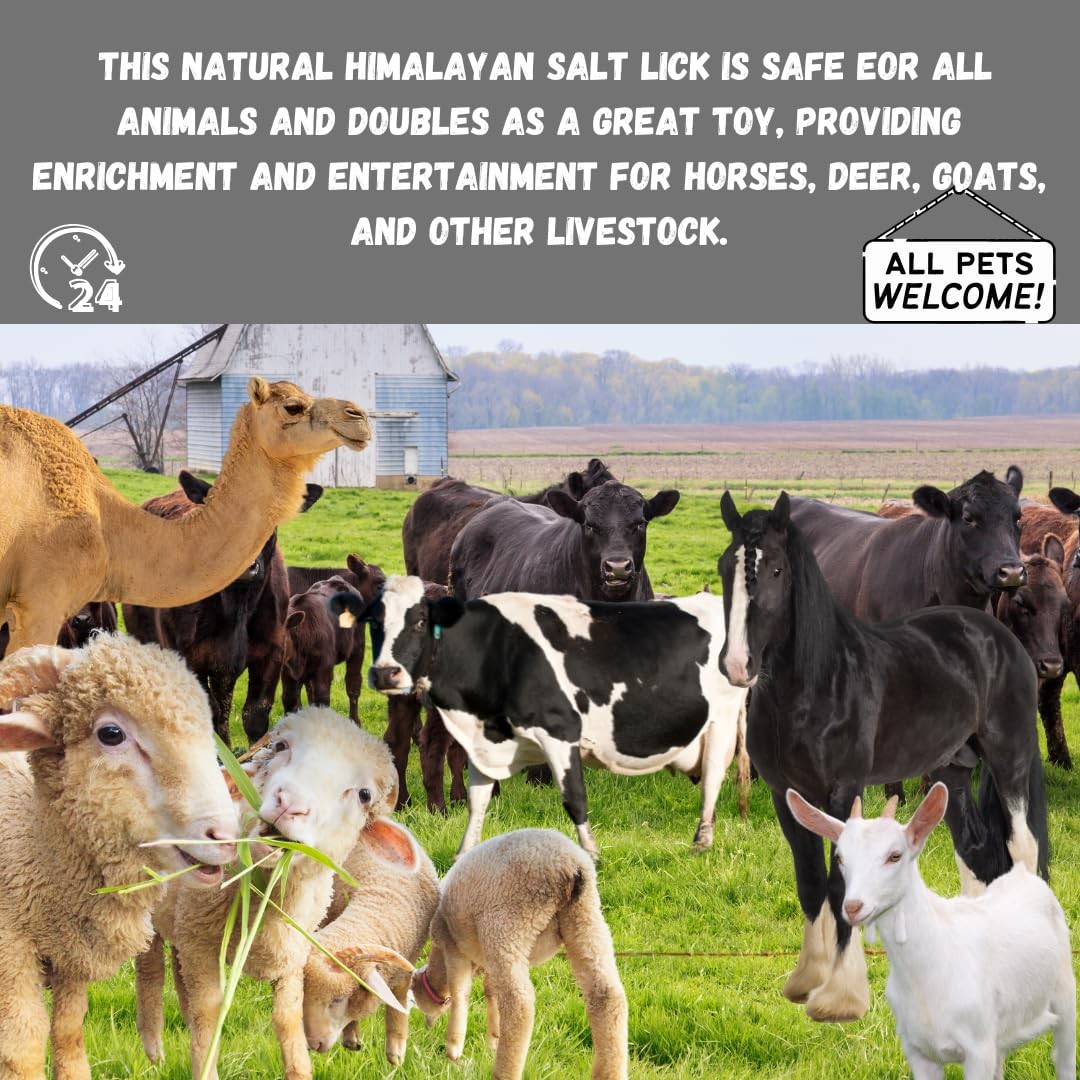 Himalayan Salt Lick for Horses, Deer, Goats, and Livestock – Salt Block on Rope