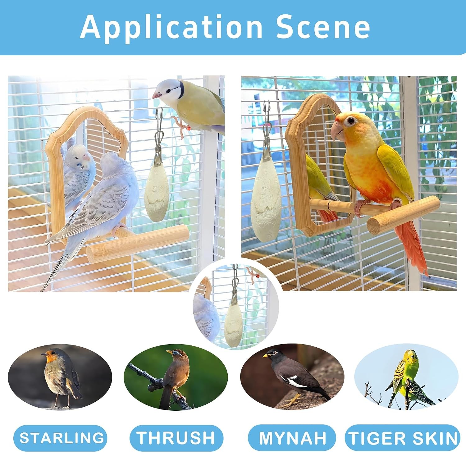Bird Cuttlebone for Parakeets, Cuddle Bone, Birds Calcium, 3.5"-4", 4 Pcs
