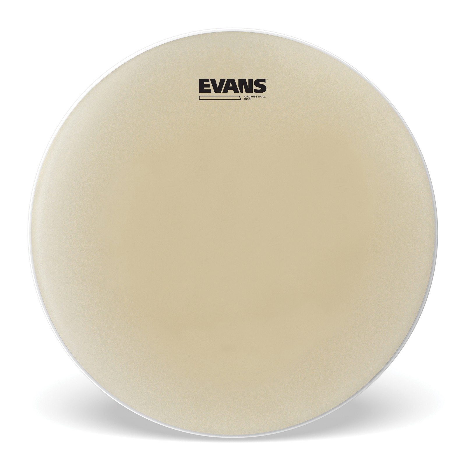 Evans Orchestral 300 Clear Snare Side Drum Head, 14 Inch