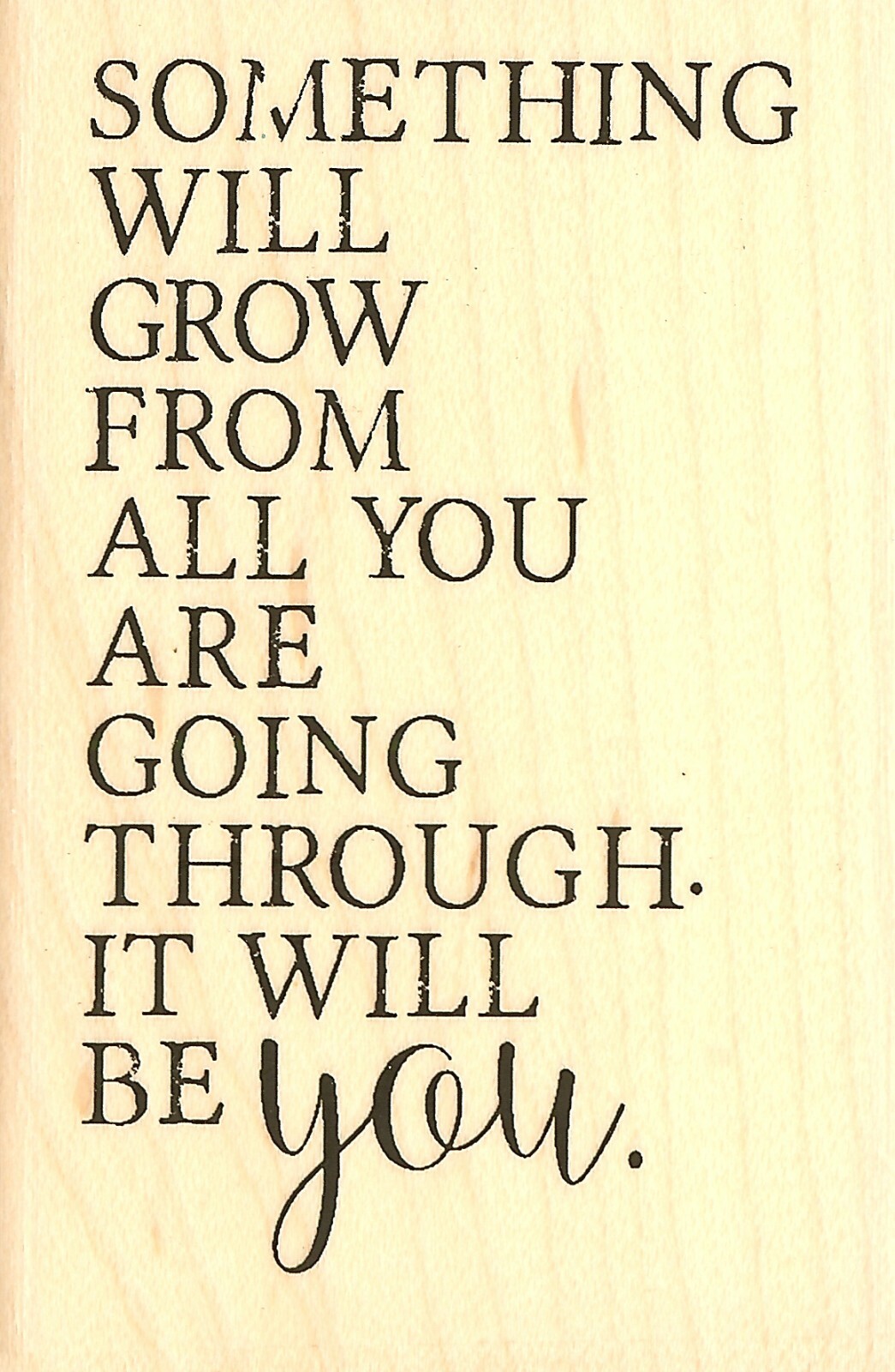 Something Will Grow Wood Mounted Rubber Stamp IMPRESSION OBSESSION D17160 New
