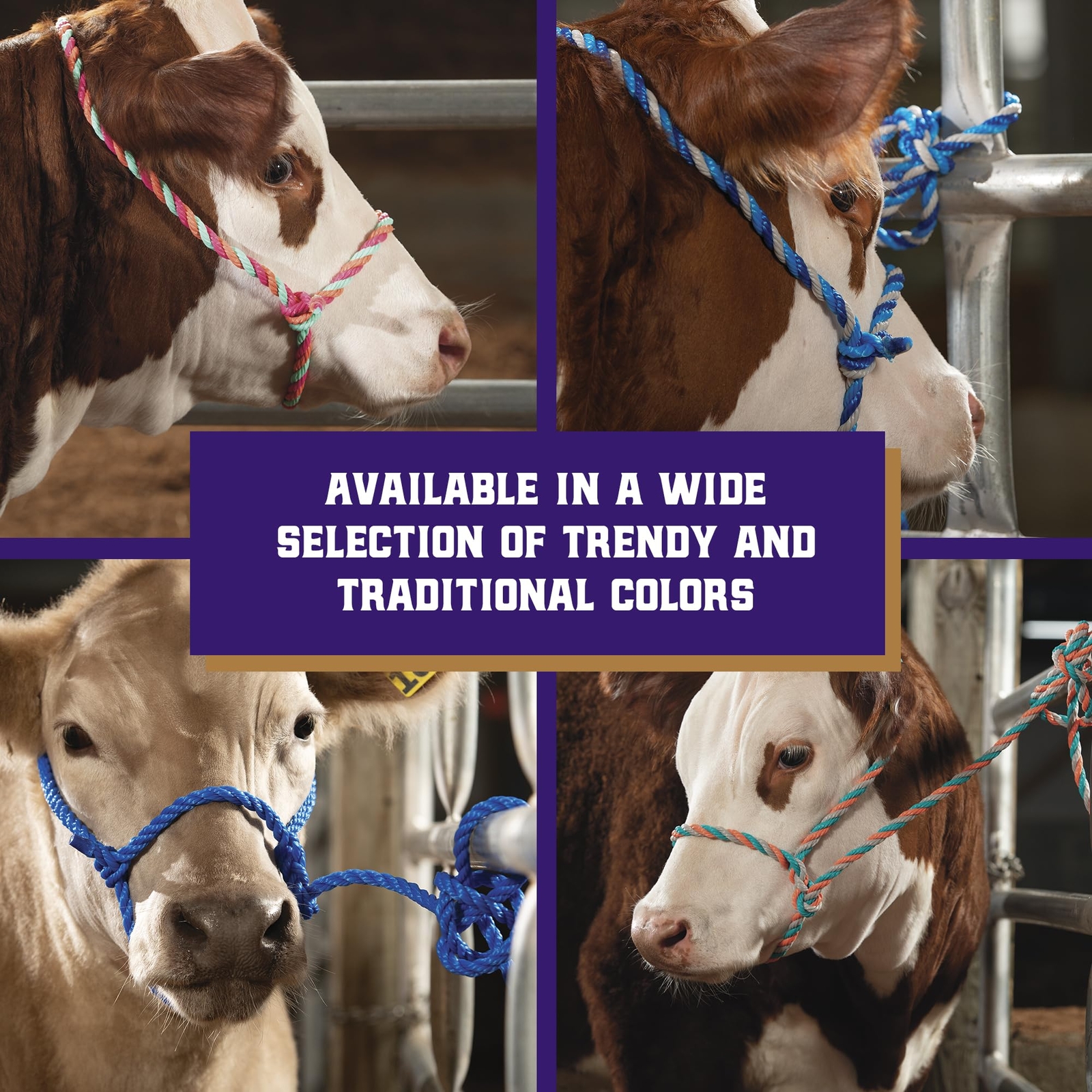 Weaver Livestock Adjustable Multicolored Rope Cattle Halter with 7 Foot Lead