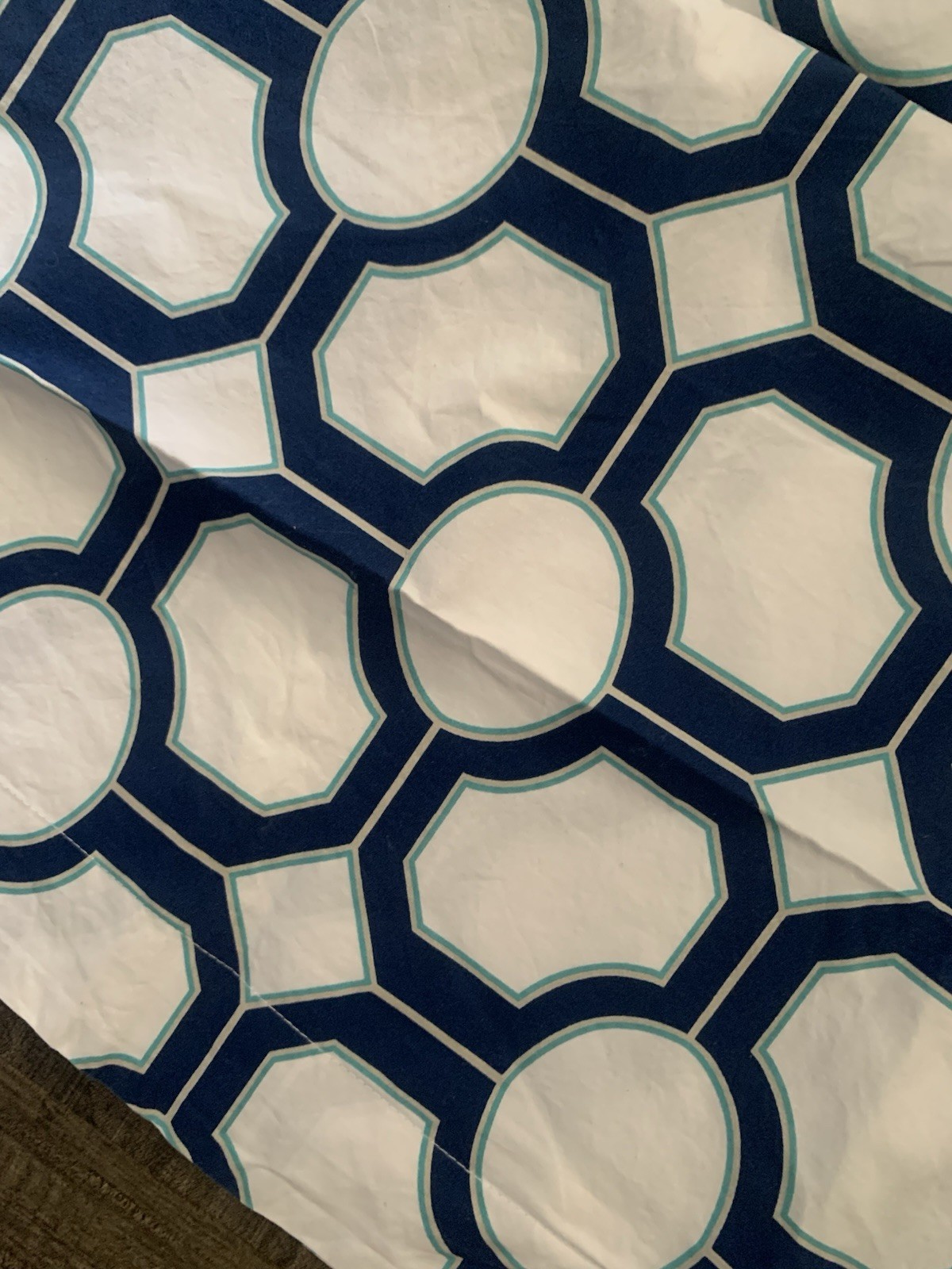 Pottery Barn Nova Geo 2 Euro Shams
