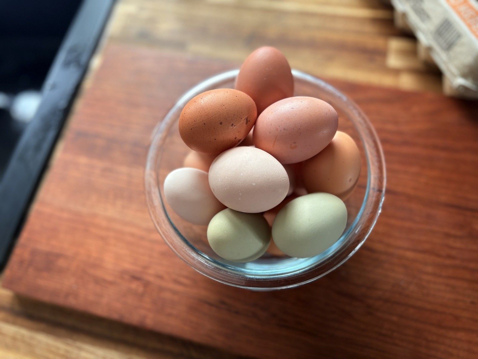 12 + fertile assorted hatching eggs rainbow READ DESCRIPTION
