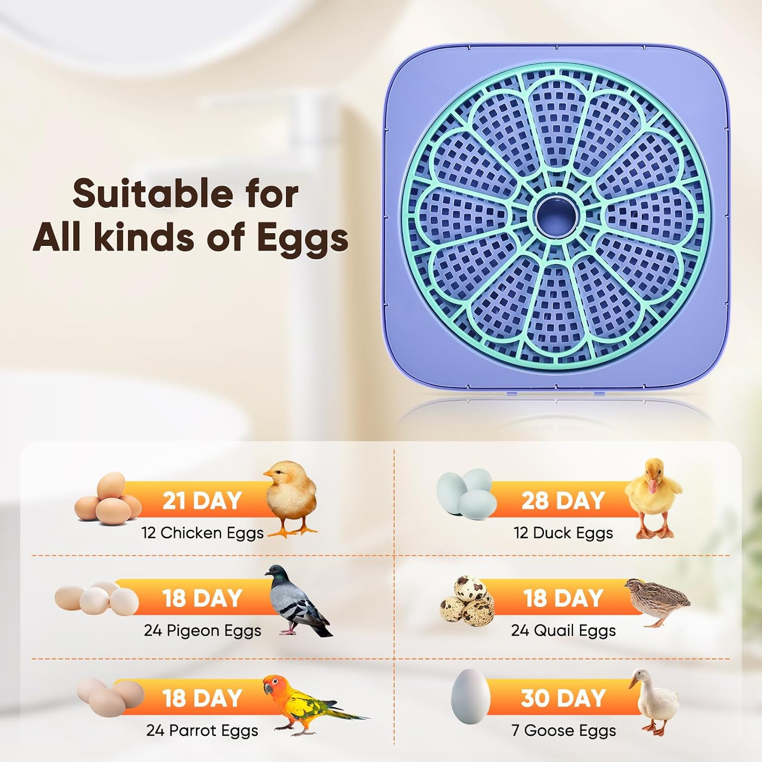 Incubators for Hatching Eggs, 12-24 Egg Digital Incubator with Smart Temperature