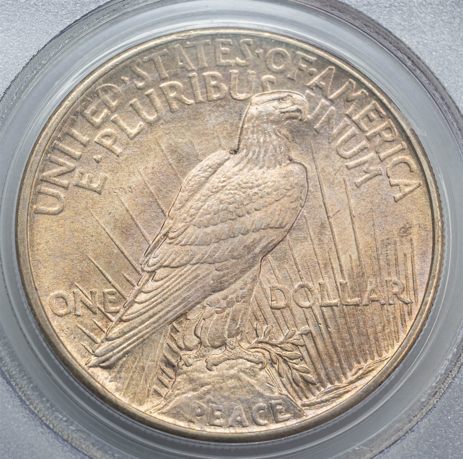 1921 Peace Silver Dollar $ MS64 PCGS 951672-5