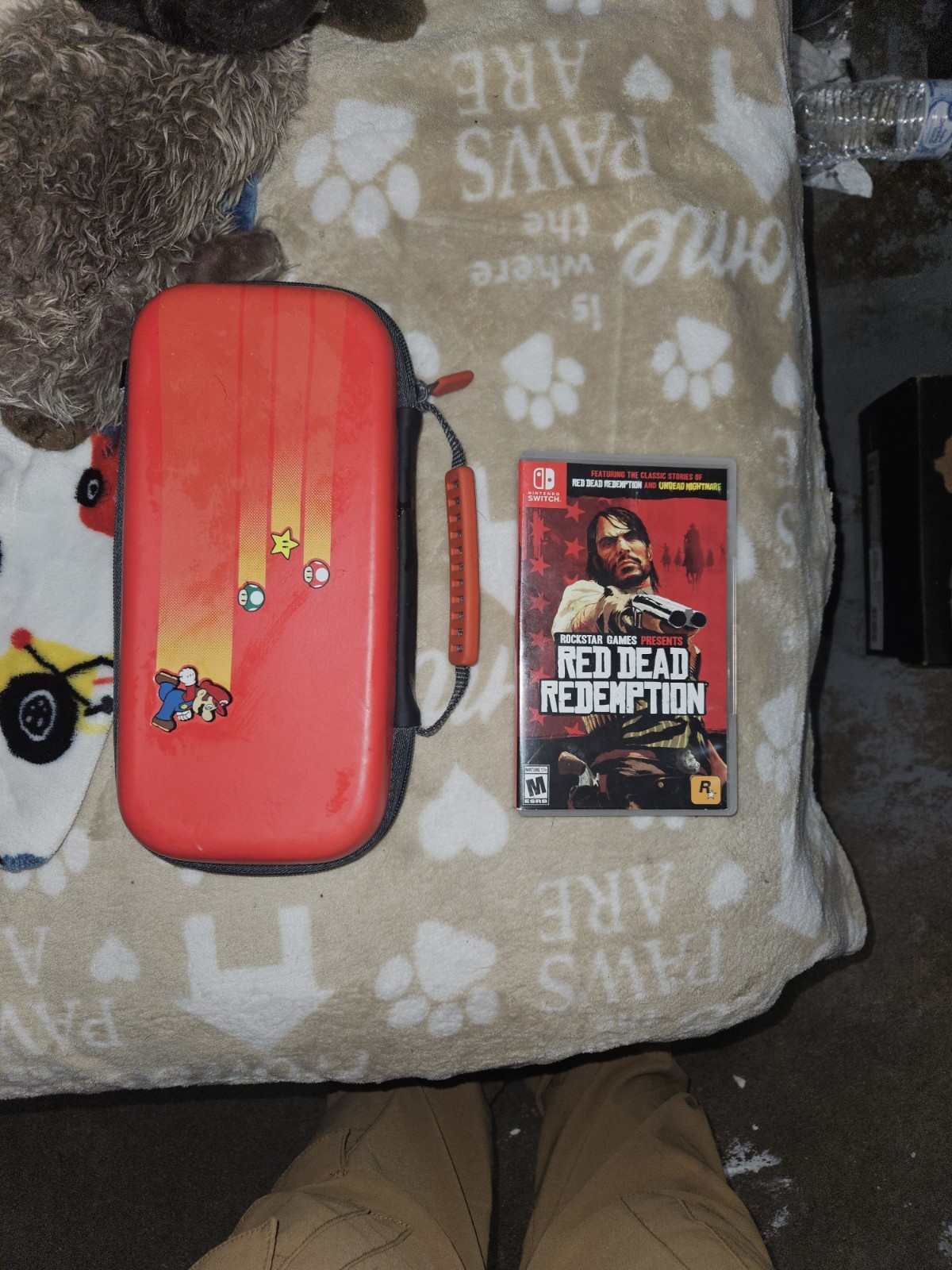 NDS CASE AND GAME (Red Dead Redemption)