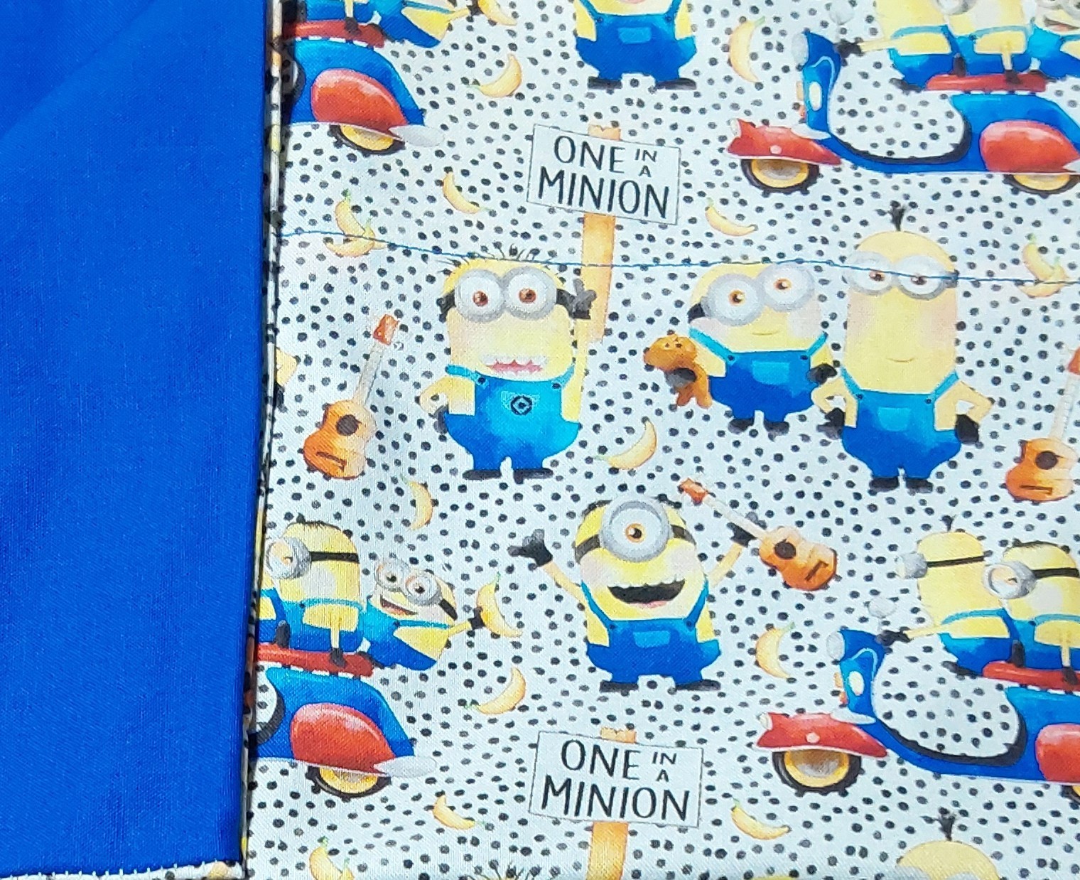 Kids Pillow Cases, Comes With 1, Can Order Two, Print On Front Solid On Back