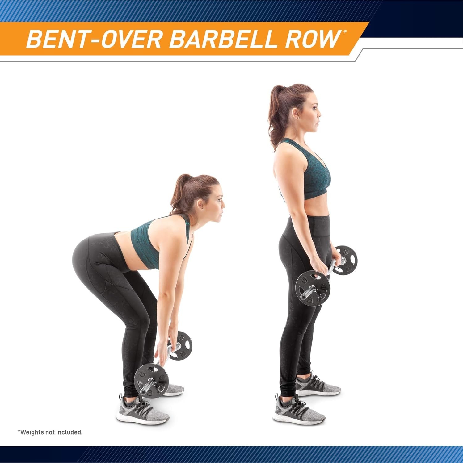 Hollow Curl Bar and Dumbbell Handle Set with Spring Collars
