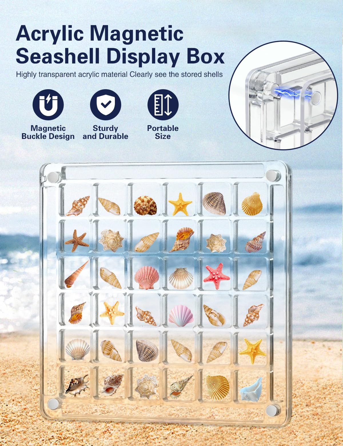 Seashell Display Box – 36 Grid Clear Acrylic Shell Holder & Organizer