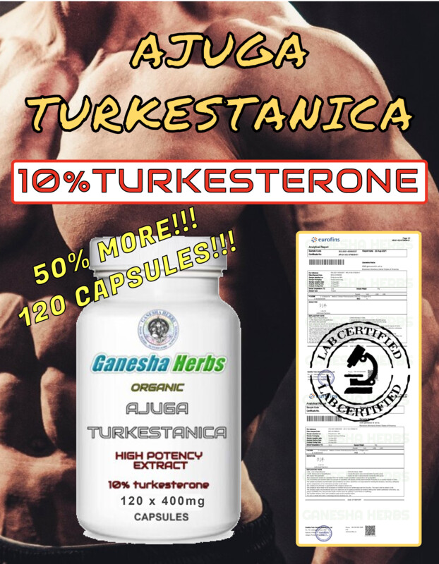 AJUGA TURKESTANICA High Potency  Extract 10%TURKESTERONE 120 x 400mg Capsules!